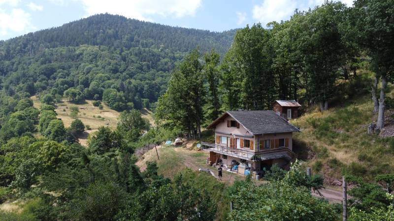 Maison à démolition en plein cœur d'une forêt à RIBEAUVILLE